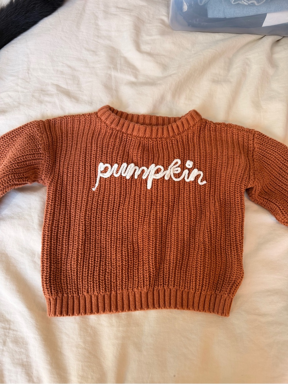 Old Navy Pumpkin Knit Crewneck Sweater - Rust